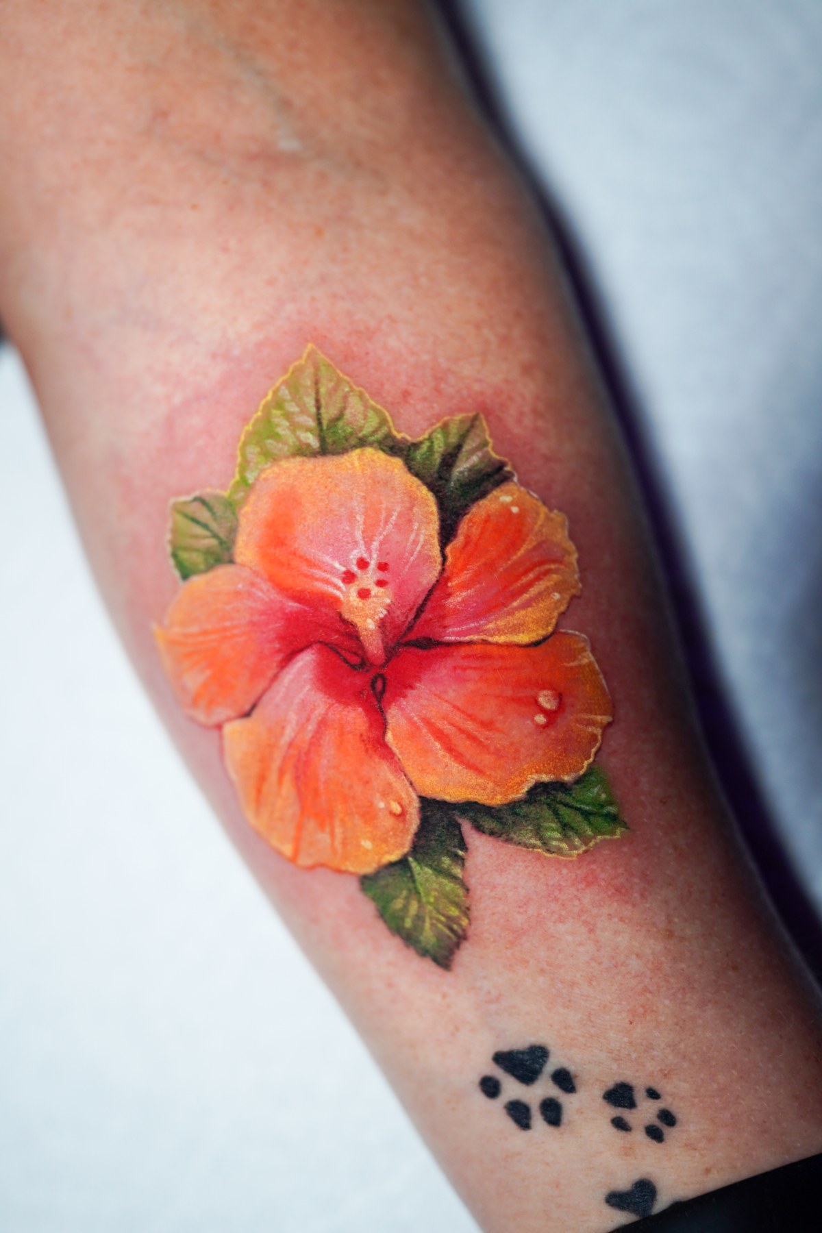 Orange and red hibiscus tattoo with green leaves on a forearm